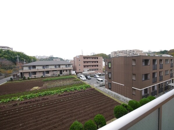 ラフィーネ学生マンションの物件内観写真